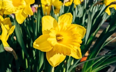 Avvikande öppettider under påsken