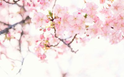 Våra öppettider i samband med Valborgsmässoafton och 1 maj