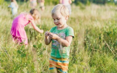 Våra öppettider under midsommarveckan