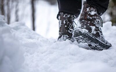 Pexels Alena 29505010