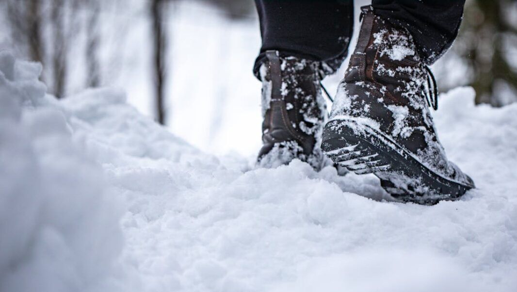 Pexels Alena 29505010 Pexels Alena 29505010