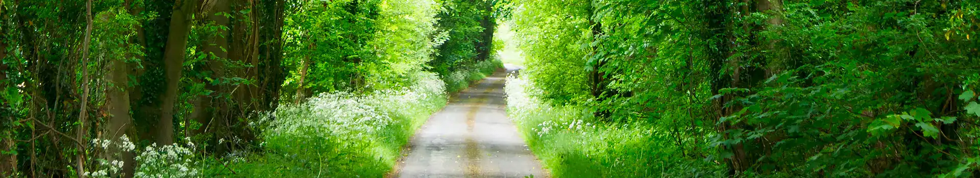 Miljö­påverkan Och Klimat­förändringar Toppbild