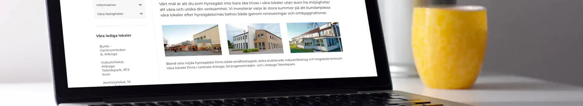 Webbplats­information Dator