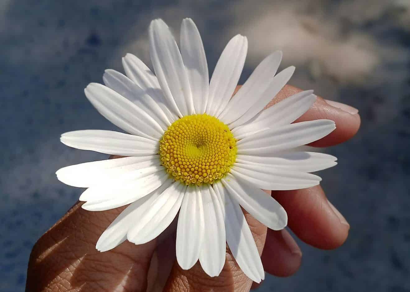 Sonam Negi LaIAzGm25z8 Unsplash Scaled E1776932393887